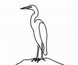 Coloring Egret Designlooter Connected Maker Lines Software Program Unique Pattern Line Were Pages Made 400px 66kb sketch template