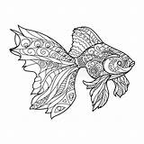 Coloring Fish Pages Gold Adults Mandala Book Vector Adult Zentangle Illustration Stock Stress Anti Lines Books Preview Choose Board Graphic sketch template