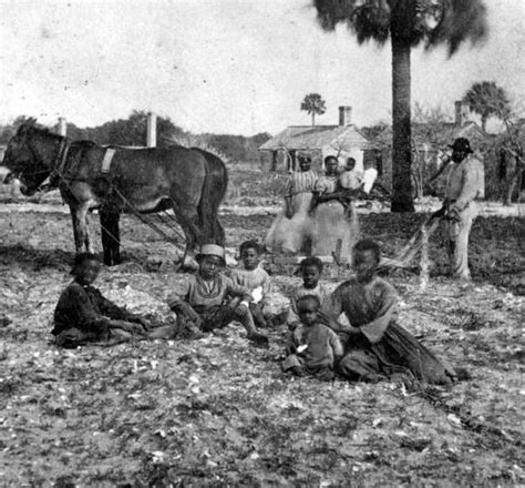 florida collection kingsley plantation 1800 s these americans t a