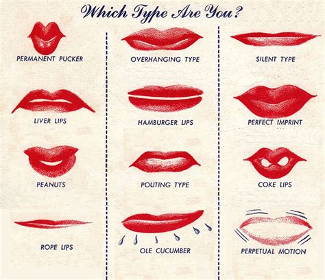 lips which type are you buzzquiz lip types lip shapes lips