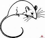 Clipart Tail Mouse Outline Long Mice Clip Drawing Cliparts Tailed Library Clipground sketch template