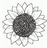 Girasol Girasoles Sunflowers Pintarcolorear Petalos Imagen Gogh Chocolate Moldes Plasma Molde Sau Bordar Cómo sketch template