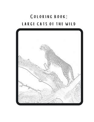 coloring book large cats   wild real pictures  wild animals