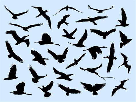 flying birds  vector art  vecteezy