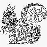 Coloring Pages Mandala Animal Color Squirrel Choose Board Sheets Print Printable sketch template