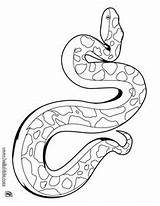 Snake Anaconda sketch template