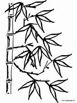 Bamboo Coloring Pages Printable Tree Kids Color sketch template
