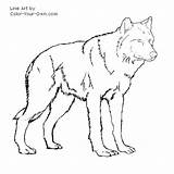Wolf Pages Coloring Color Kids Baby Print Printable Realistic Animal Scary Standing Drawing Colouring Big Bad Arctic Wolves Draw Cried sketch template