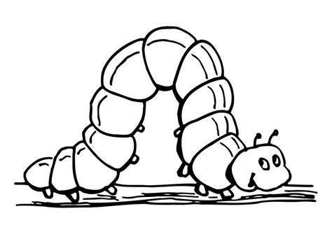 coloring page caterpillar  printable coloring pages img