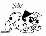Dalmatians Disneyclips Puppy sketch template