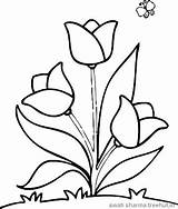 Coloring Pages Flower Easy Flowers Printable Drawing Colouring Tulip Print Tulips Simple Kids Drawings Pdf Garden Color Floral Basic Frame sketch template