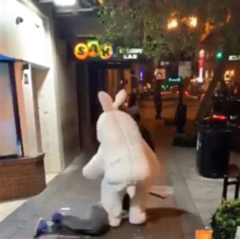 Easter Bunny Gets Into Fight In Downtown Orlando Express Digest