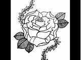 Tattoo Pocket Roses Drawing Skool Draw Rose Style Getdrawings sketch template