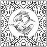 Pisces Pattern Segno Zodiaco Modello sketch template