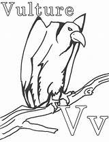 Vulture Designlooter Vultures Coloringbay sketch template