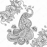 Coloring Pages Stress Peacock Zentangle Anti Totem Adult Vector Printable Flowersfor Illustration Paisley Sketch Therapy Doodle Drawing Stock Flowers Tattoo sketch template