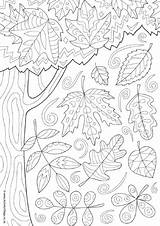 Colouring Autumn Pages Doodle Kids Adults Coloring Fall Older Activityvillage Sheets Leaves Tree Doodles Senior Seniors Adult Printable Leaf Abstract sketch template