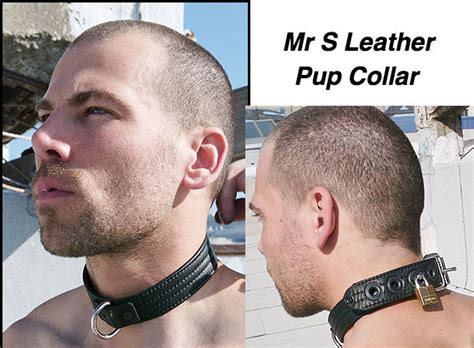 weekend feature on pup collars and leather pup mask the