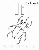 Insect Handwriting Practice sketch template
