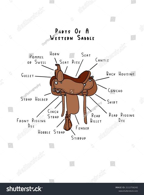 parts western saddle diagram stock illustration  shutterstock