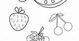 Fruits sketch template