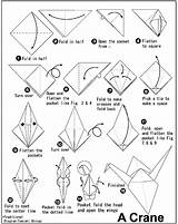 Crane Origami Paper Cranes Make Steps Making Drawing Instructions Easy Tutorial Printable Fold Kids Simple Oragami Pattern Earth Diy Board sketch template