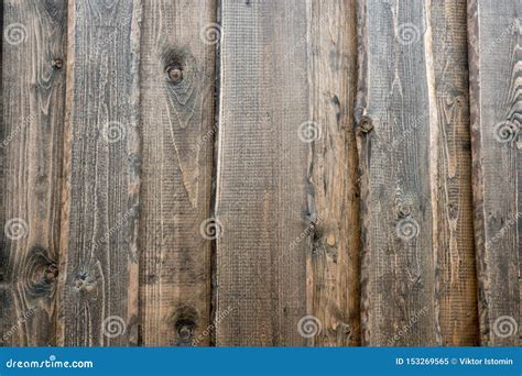 beautiful wood texture stock image image  material