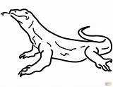 Komodo Lizard Coloring Pages Monitor Drawing Cartoon Dragon Printable Color Lizards Kids Reptiles Lizzard Toad Horned Realistic Drawings Print Baby sketch template