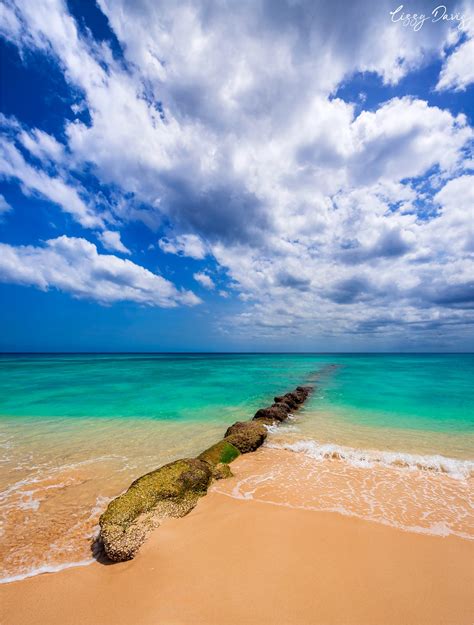 Beaches Of Barbados In Photos Paradise Beach Lizzy Davis