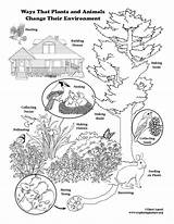 Coloring Ecology Environmental Issues Plants Exploringnature sketch template