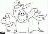 Madagascar Pinguinos Colorear Pegar sketch template