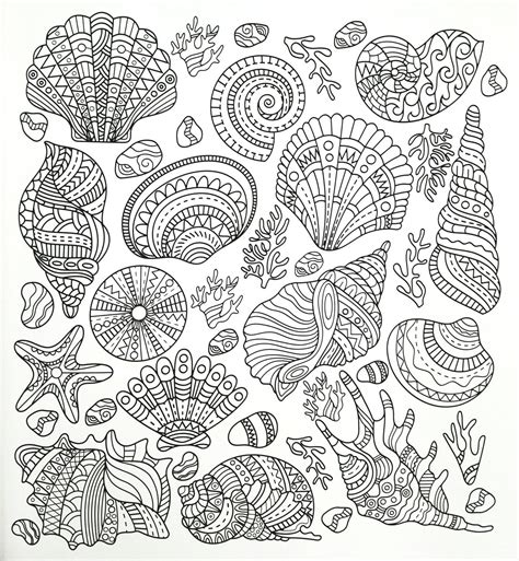 seashell coloring pages  adults top  coloring pages  kids