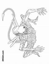 Alien Xenomorph Coloring Line Outline Book Color Printable Movie Link Would Print  If sketch template