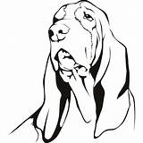 Hound Coloring Basset Dog Pages Wall Decal Printable Sticker Template Print Sheet Color Getcolorings sketch template