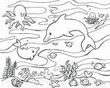 Sea Creatures Deep Coloring Pages Getdrawings sketch template