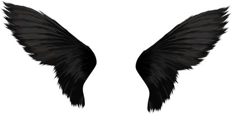 black wings png clipart full size clipart  pinclipart