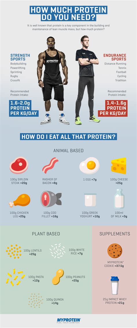 How Much Protein Do You Need [infographic] [infographic] Infographic