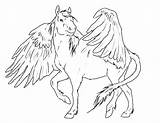 Pegasus Coloring Pages Baby Adult Adults Printable Getcolorings Child Cute Print Color Getdrawings sketch template
