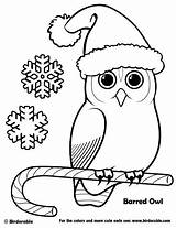 Coloring Pages Owl Christmas Birdorable Printable Cute Navidad Owls Winter Barred Kids Para Bird Dibujos Holiday Birds Cartoon Book Print sketch template