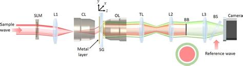 schematic experimental setup slm spatial light modulator hamamatsu  scientific