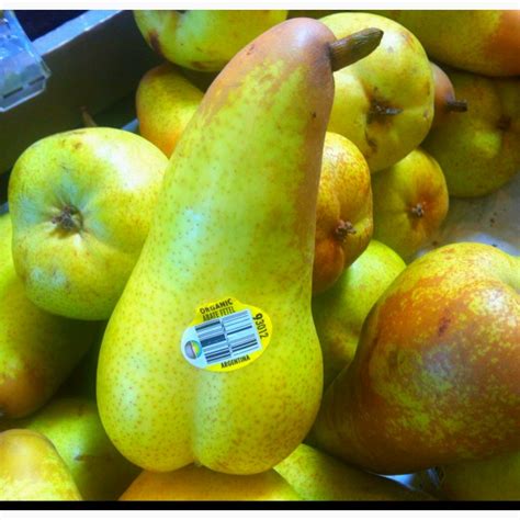 1000 Images About Sexy Fruit Vegetables And Plants On