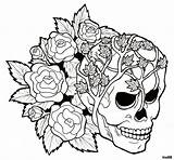 Roses Skulls sketch template