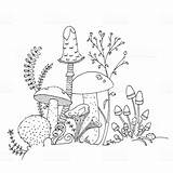 Mushroom Outline Mushrooms Coloring Illustration Hand Various Drawn Book Vector Fungi Pages Edible Stock Flowers Drawing Ferns Clip Drawings Line sketch template