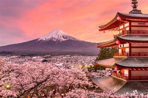 japanese cherry blossom season promotion