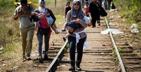 ‘survival sex rising problem in refugee camps in greece reports unhcr