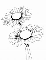 Daisy Coloring Flower Pages Blooming Printable Getcolorings Color Flowe Getdrawings Print sketch template