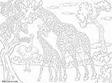 Coloring Animal Pages Hard Getdrawings sketch template