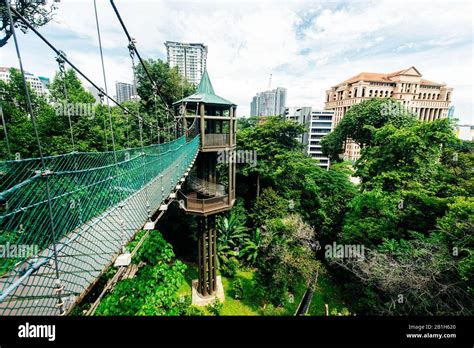 kuala lumpur city view  bukit nanas forest reserve   called forest eco park stock