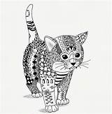 Coloring Cats Pages sketch template