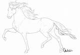Horse Lineart Drawing Deviantart Drawings Realistic Coloring Bh Choose Board Horses Sketch sketch template